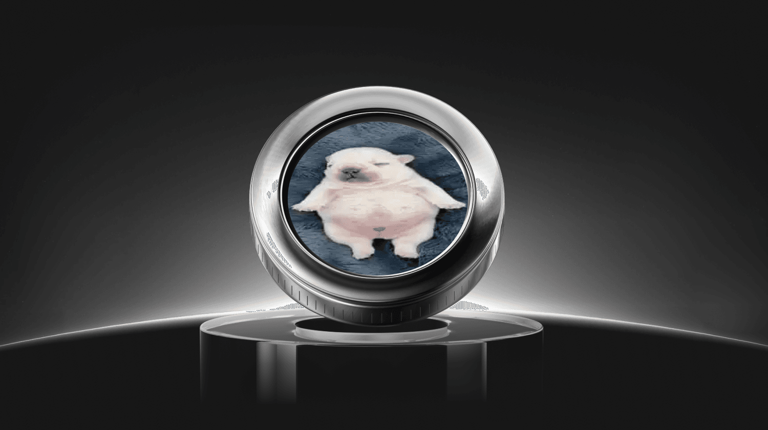 what is pibble Coin