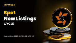 CYCLE Coin to Go Live on WEEX Spot — CYCLE USDT Trading Starts