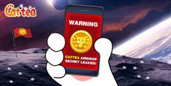 Cattea Daily Combo 12 February 2025: How to Succeed in Cattea Airdrop