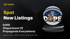 Department Of Propaganda Everywhere (DOPE) 現已在 WEEX 上市，並提供 DOPE USDT 交易對
