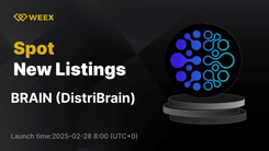 DistriBrain (BRAIN) 登陸 WEEX，開通 BRAIN USDT 現貨交易對