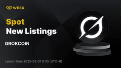 Grok Coin (GROK) 现可在 WEEX 上交易,GROK USDT 现货交易已开启