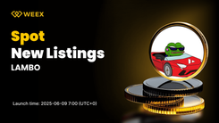 LAMBO USDT Now Available for Trading on WEEX Spot