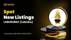 Labubu (LABUBUBSC) Set to List on WEEX Spot
