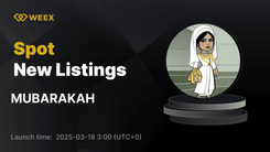 WEEX 现可进行 MUBARAKAH USDT 货币对交易