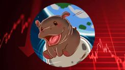 Moo Deng ($MOODENG) Price Prediction 2025-2030: Will This Meme Coin Reach $2.69?
