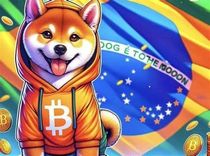 Memecoins na BNB Chain 2025: guia para brasileiros