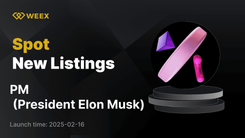 イーロン・マスク社長（PM）がWEEXのPM USDTで取引可能に