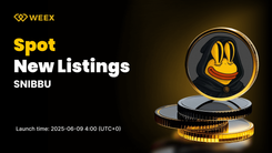 SNIBBU USDT Pair Gets Listed on WEEX Spot