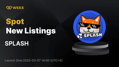 SPLASH USDT 现货交易对在 WEEX 上市