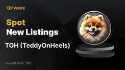 TeddyOnHeels (TOH) 現已在 WEEX 上市，TOH USDT 交易對開始交易