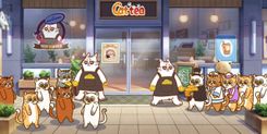 Unlock the Cattea Airdrop: Your Complete Guide to the Latest Catizen Ecosystem Innovation