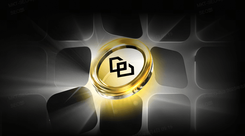 How low can the Bitcoin price go?