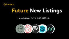 Dolos The Bully (BULLY) Listing on WEEX Futures