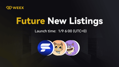 Duko (DUKO) Gets Listed and DUKO USTD Trading Launches on WEEX